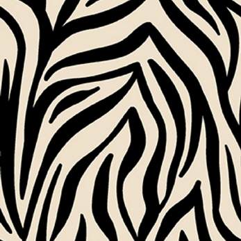 Wild Expedition | Zebras